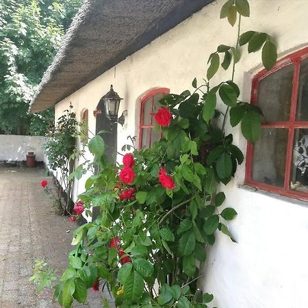 Hostel Gemuetliches Reetdachhaus Mit Kaminofen Ribe Exteriér fotografie