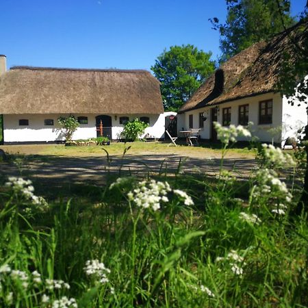 Hostel Gemuetliches Reetdachhaus Mit Kaminofen Ribe Exteriér fotografie