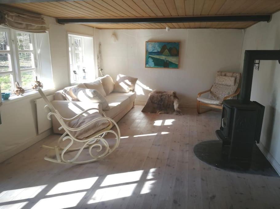 Hostel Gemuetliches Reetdachhaus Mit Kaminofen Ribe Exteriér fotografie