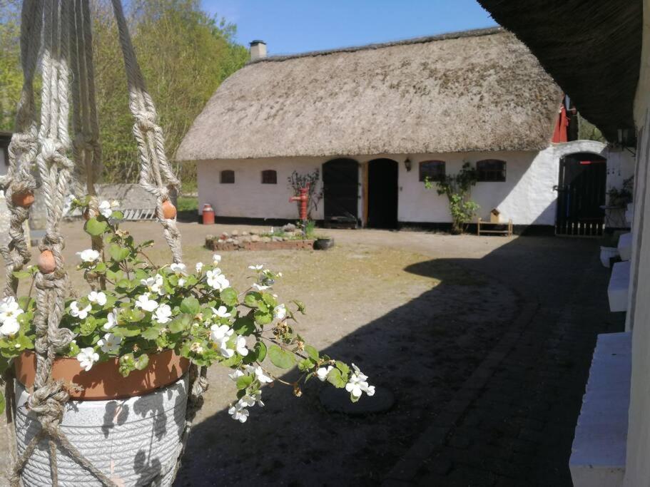 Hostel Gemuetliches Reetdachhaus Mit Kaminofen Ribe Exteriér fotografie