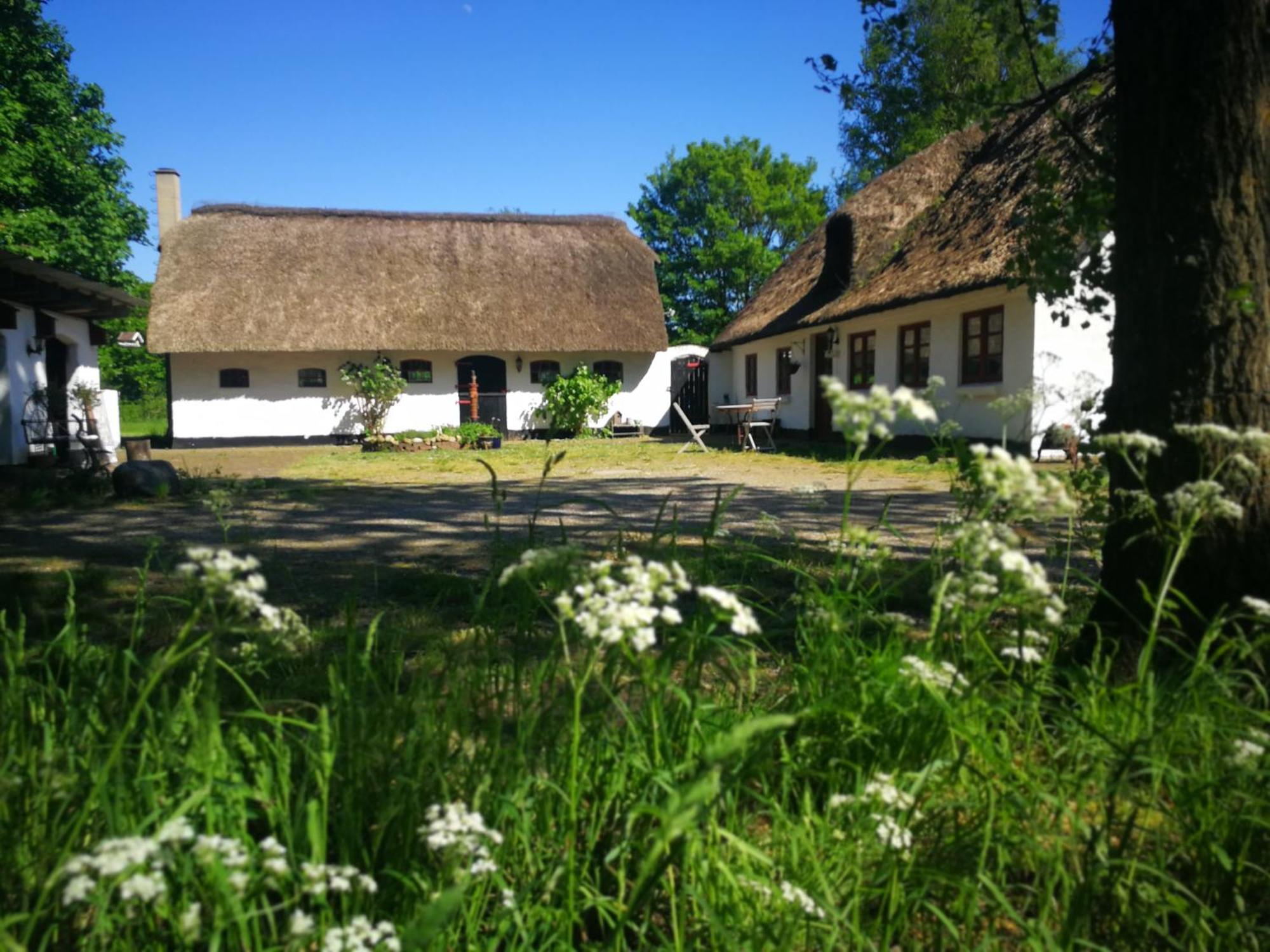 Hostel Gemuetliches Reetdachhaus Mit Kaminofen Ribe Exteriér fotografie